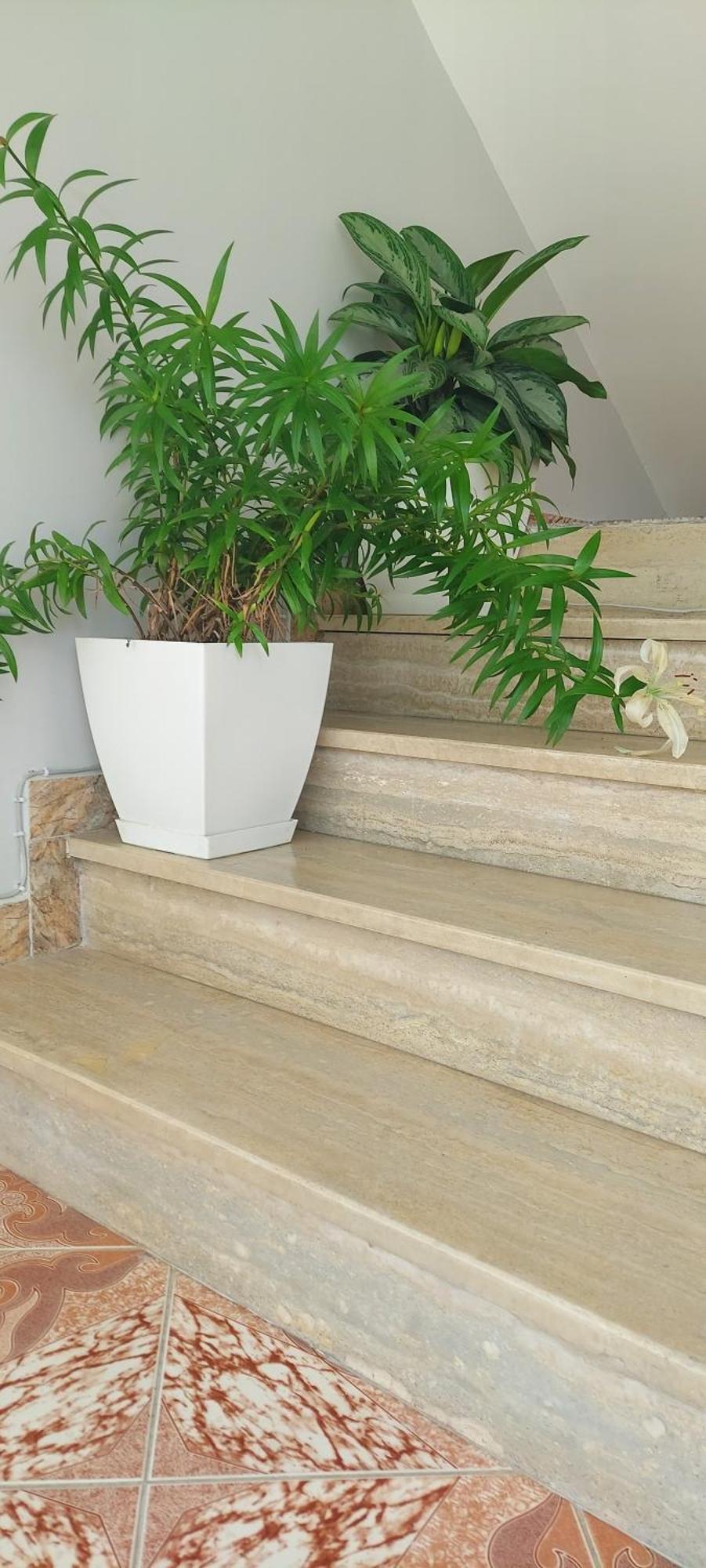 Hotel Fama Škalngur المظهر الخارجي الصورة